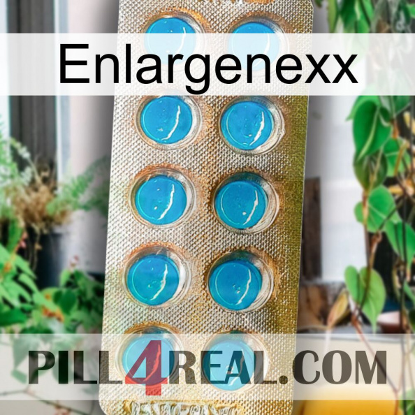 Enlargenexx new09.jpg